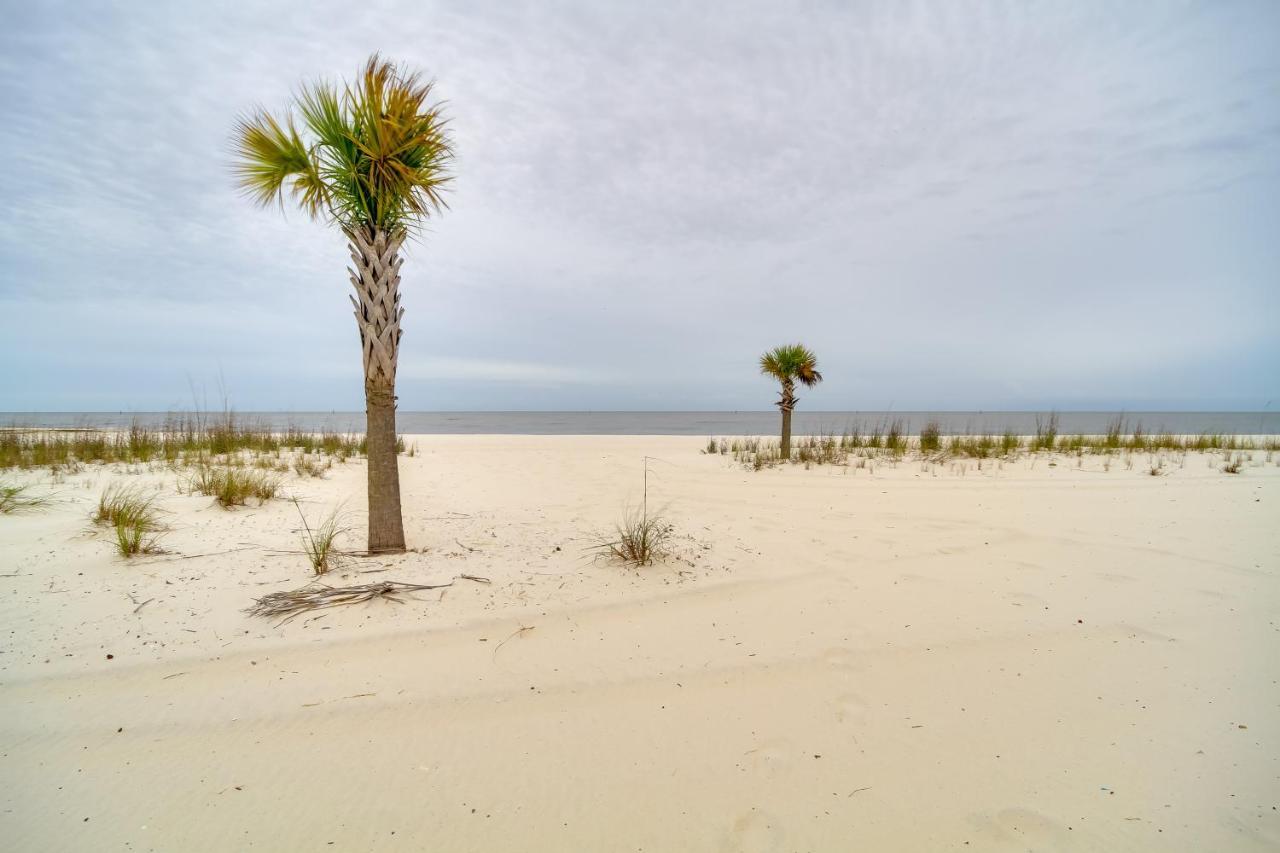 Gulfport Retreat With Pool Access 4 Mi To Aquarium别墅 外观 照片